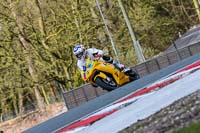 Oulton-Park-20th-March-2020;PJ-Motorsport-Photography-2020;anglesey;brands-hatch;cadwell-park;croft;donington-park;enduro-digital-images;event-digital-images;eventdigitalimages;mallory;no-limits;oulton-park;peter-wileman-photography;racing-digital-images;silverstone;snetterton;trackday-digital-images;trackday-photos;vmcc-banbury-run;welsh-2-day-enduro